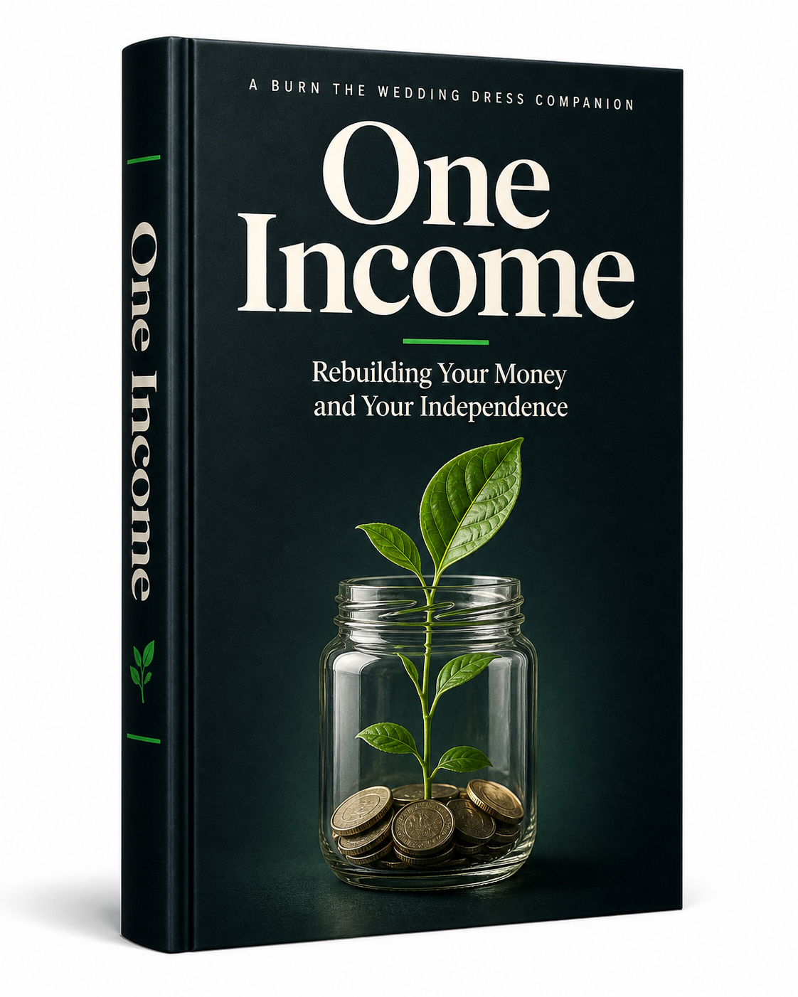 One Income